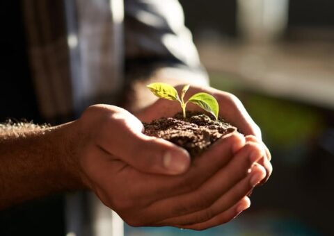 Natural medicine Every step counts image